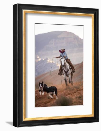 Cowgirl at Full Gallop with Cowdogs Leading Way-Terry Eggers-Framed Photographic Print