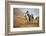 Cowgirl at Full Gallop with Horses in Tow-Terry Eggers-Framed Photographic Print