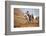 Cowgirl at Full Gallop with Horses in Tow-Terry Eggers-Framed Photographic Print