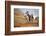 Cowgirl at Full Gallop with Horses in Tow-Terry Eggers-Framed Photographic Print