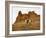 Cowgirl at Full Gallop with Red Rock Hills-Terry Eggers-Framed Photographic Print