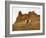 Cowgirl at Full Gallop with Red Rock Hills-Terry Eggers-Framed Photographic Print