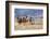 Cowgirl & Cowboy at Full Gallop-Terry Eggers-Framed Photographic Print