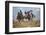 Cowgirl & Cowboy at Full Gallop-Terry Eggers-Framed Photographic Print