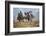 Cowgirl & Cowboy at Full Gallop-Terry Eggers-Framed Photographic Print