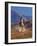 Cowgirl Riding a Trail in the Big Horn Mountains, Shell, Wyoming, USA-Joe Restuccia III-Framed Photographic Print