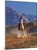 Cowgirl Riding a Trail in the Big Horn Mountains, Shell, Wyoming, USA-Joe Restuccia III-Mounted Photographic Print