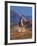 Cowgirl Riding a Trail in the Big Horn Mountains, Shell, Wyoming, USA-Joe Restuccia III-Framed Photographic Print