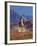 Cowgirl Riding a Trail in the Big Horn Mountains, Shell, Wyoming, USA-Joe Restuccia III-Framed Photographic Print