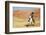 Cowgirl Riding the Range-Terry Eggers-Framed Photographic Print