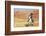 Cowgirl Riding the Range-Terry Eggers-Framed Photographic Print