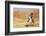 Cowgirl Riding the Range-Terry Eggers-Framed Photographic Print