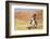 Cowgirl Riding the Range-Terry Eggers-Framed Photographic Print