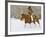 Cowgirl, Shell, Wyoming, USA-Terry Eggers-Framed Photographic Print