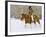 Cowgirl, Shell, Wyoming, USA-Terry Eggers-Framed Photographic Print