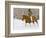 Cowgirl, Shell, Wyoming, USA-Terry Eggers-Framed Photographic Print