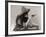 Cowgirl with Deck of Cards and Chips, Pointing a Pistol, 1912-null-Framed Photo