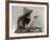 Cowgirl with Deck of Cards and Chips, Pointing a Pistol, 1912-null-Framed Photo