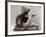 Cowgirl with Deck of Cards and Chips, Pointing a Pistol, 1912-null-Framed Photo