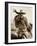 Cowgirl-Lisa Dearing-Framed Photographic Print