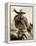 Cowgirl-Lisa Dearing-Framed Premier Image Canvas