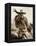 Cowgirl-Lisa Dearing-Framed Premier Image Canvas