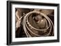 Cowgirls Lasso-Lisa Dearing-Framed Photographic Print