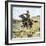 Cowhand Rounding Up Cattle Mixed in with the Horse Herd-null-Framed Giclee Print