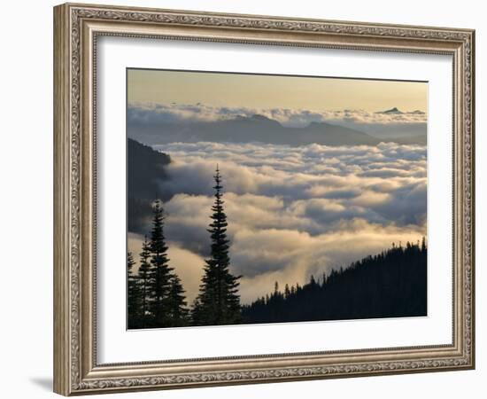 Cowlitz River Valley, Tatoosh Wilderness, Washington Cascades, USA-Janis Miglavs-Framed Photographic Print