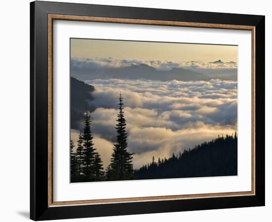 Cowlitz River Valley, Tatoosh Wilderness, Washington Cascades, USA-Janis Miglavs-Framed Photographic Print