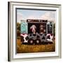 Cowpies-Lucia Heffernan-Framed Art Print