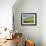 Cows and Farmland Below Te Mata Peak, Hawkes Bay, North Island, New Zealand-David Wall-Framed Photographic Print displayed on a wall