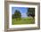 Cows and fruit trees near Merzkirchen, Saargau, Rhineland-Palatinate, Germany, Europe-Hans-Peter Merten-Framed Photographic Print