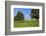 Cows and fruit trees near Merzkirchen, Saargau, Rhineland-Palatinate, Germany, Europe-Hans-Peter Merten-Framed Photographic Print