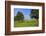 Cows and fruit trees near Merzkirchen, Saargau, Rhineland-Palatinate, Germany, Europe-Hans-Peter Merten-Framed Photographic Print