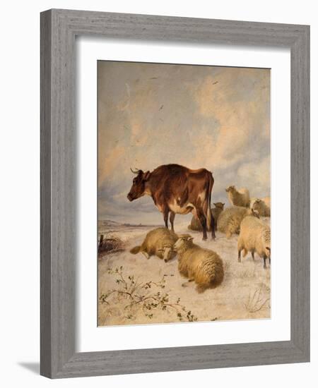 Cows and Sheep in Snowscape, 1864-Thomas Sidney Cooper-Framed Giclee Print