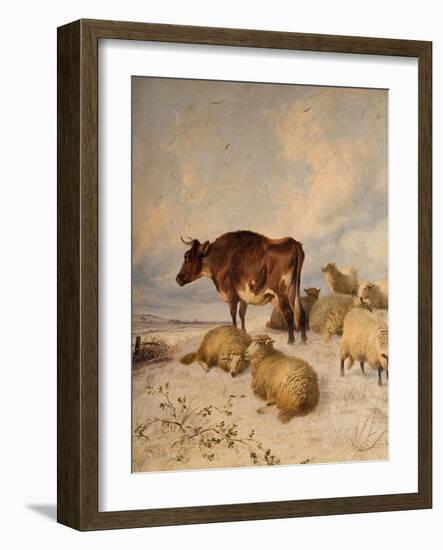 Cows and Sheep in Snowscape, 1864-Thomas Sidney Cooper-Framed Giclee Print