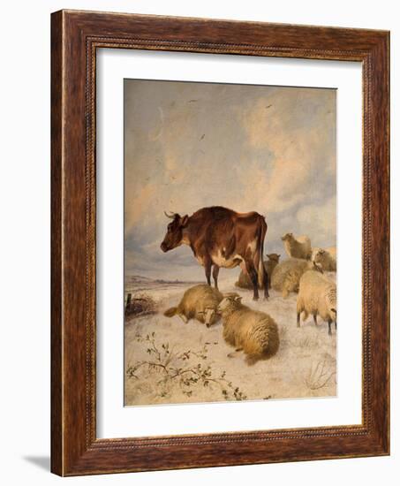 Cows and Sheep in Snowscape, 1864-Thomas Sidney Cooper-Framed Giclee Print