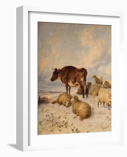 Cows and Sheep in Snowscape, 1864-Thomas Sidney Cooper-Framed Giclee Print