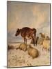 Cows and Sheep in Snowscape, 1864-Thomas Sidney Cooper-Mounted Giclee Print