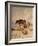 Cows and Sheep in Snowscape, 1864-Thomas Sidney Cooper-Framed Giclee Print