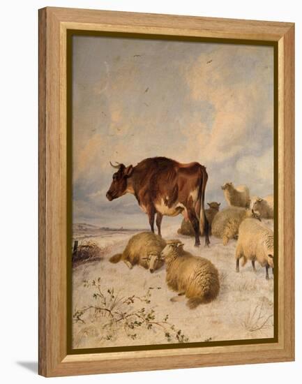 Cows and Sheep in Snowscape, 1864-Thomas Sidney Cooper-Framed Premier Image Canvas