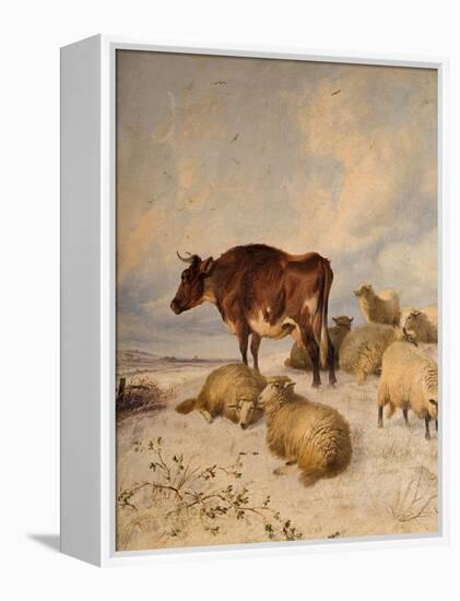 Cows and Sheep in Snowscape, 1864-Thomas Sidney Cooper-Framed Premier Image Canvas