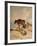 Cows and Sheep in Snowscape, 1864-Thomas Sidney Cooper-Framed Giclee Print