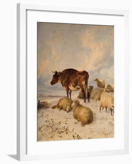 Cows and Sheep in Snowscape, 1864-Thomas Sidney Cooper-Framed Giclee Print