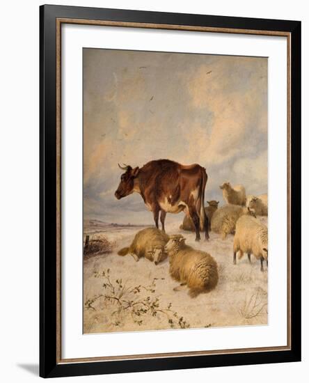 Cows and Sheep in Snowscape, 1864-Thomas Sidney Cooper-Framed Giclee Print