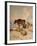 Cows and Sheep in Snowscape, 1864-Thomas Sidney Cooper-Framed Giclee Print