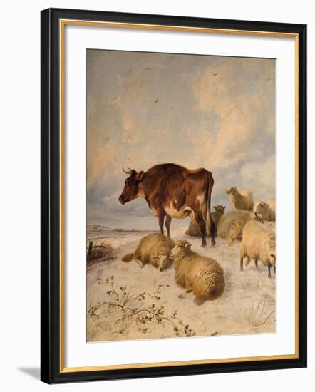 Cows and Sheep in Snowscape, 1864-Thomas Sidney Cooper-Framed Giclee Print