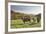 Cows, Autumn, Lindenfels (Town), Odenwald (Low Mountain Range), Hesse, Germany-Raimund Linke-Framed Photographic Print