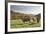 Cows, Autumn, Lindenfels (Town), Odenwald (Low Mountain Range), Hesse, Germany-Raimund Linke-Framed Photographic Print